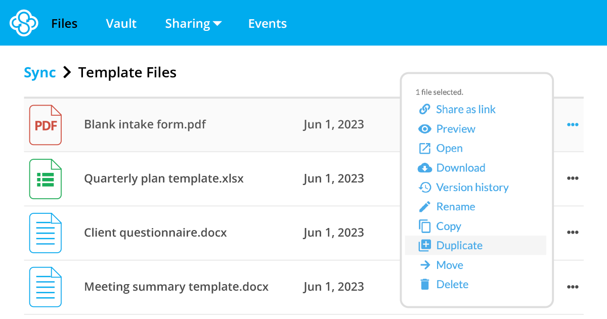 Duplicate files