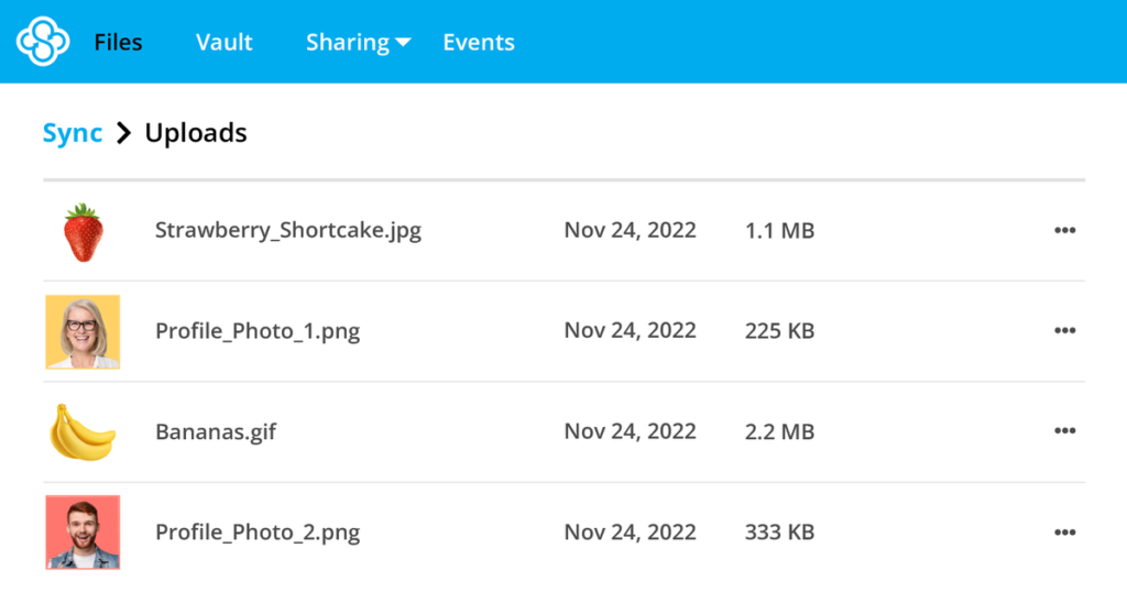 Sync.com web panel thumbnails.